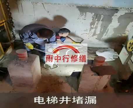 昌都星雨华府电梯井堵漏案例